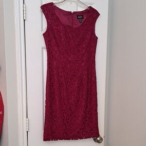 Raspberry Lace Dress